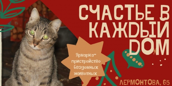 В Якутске состоится ярмарка по пристройству бездомных животных