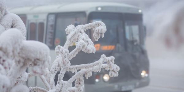 «Союз Авто»: автобусы сходят с маршрута из-за морозов  