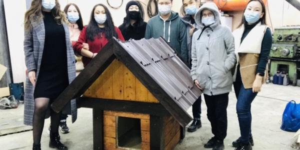 «Дом для друга»: жители Якутска построили 135 теплых будок для бездомных собак 