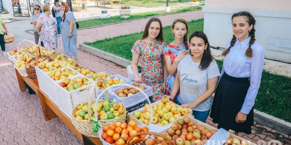 В Яблочный Спас добровольцы раздали 386 килограммов яблок