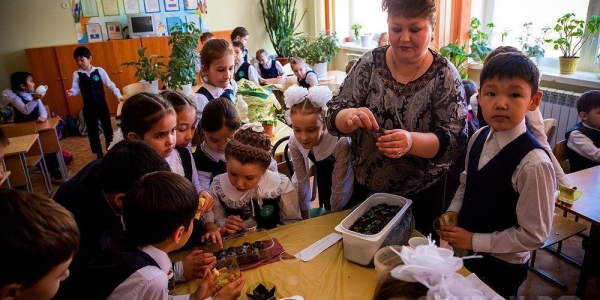 Школы и детские сады готовятся к акции «Миллион цветов»