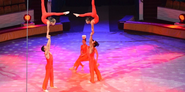Наши циркачи завоевали «Гран-при» Дальневосточного фестиваля