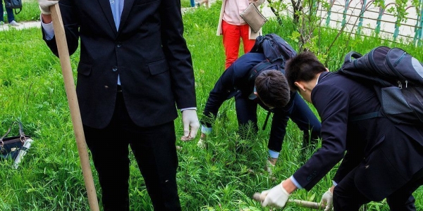 Выпускники школы №7 посадили деревья и установили памятный камень 