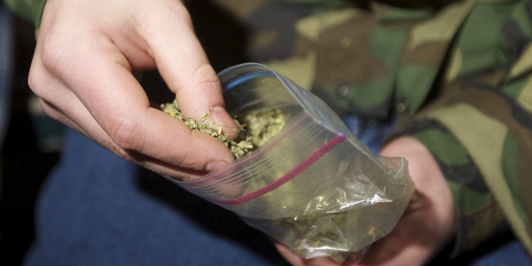 Приехавшие на семейный скандал полицейские обнаружили спрятанную марихуану