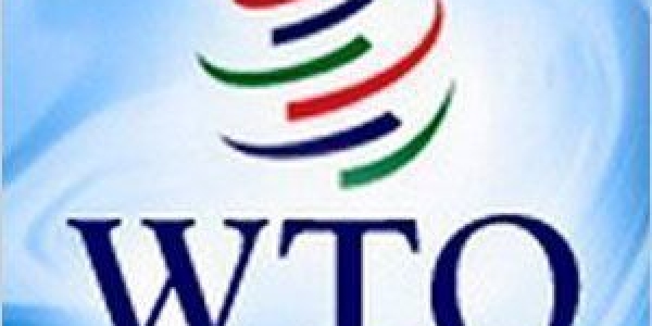 Россия вступит в ВТО, а погорельцам так и не помогут?