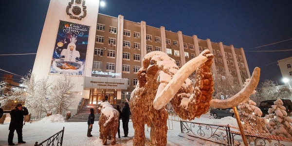 Призываем горожан и гостей столицы бережно относиться к арт-объектам новогоднего Якутска!