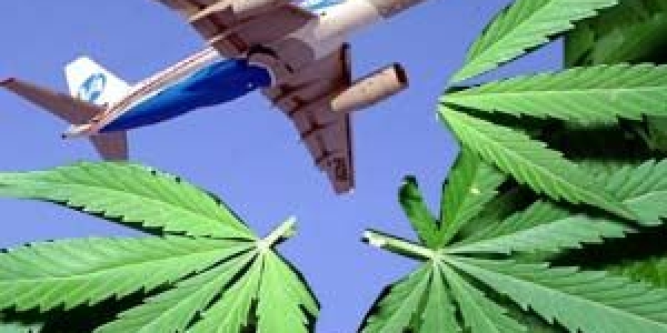 Самолеты сажает наркоман