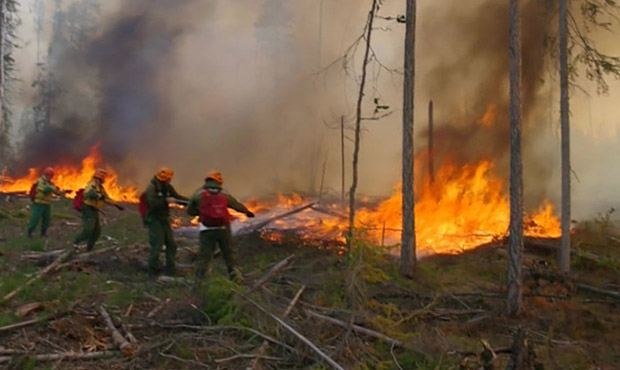 В Якутии тушат 22 лесных пожара
