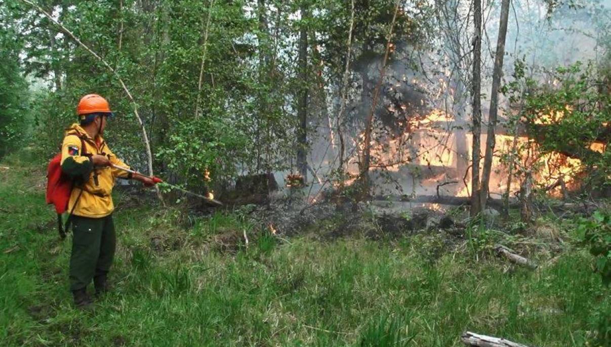 В Якутии действуют 300 природных пожаров,  за сутки ликвидировано 36