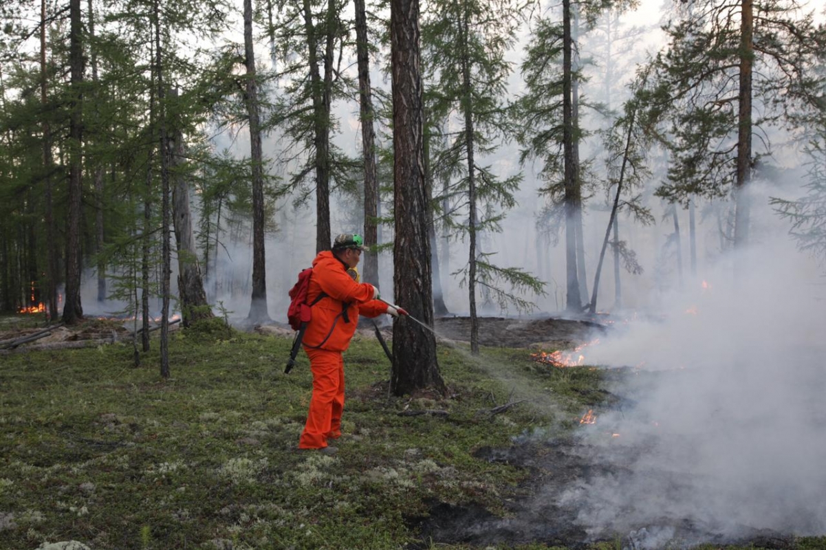 Лесной пожар, действовавший на территории трех районов Якутии, ликвидирован