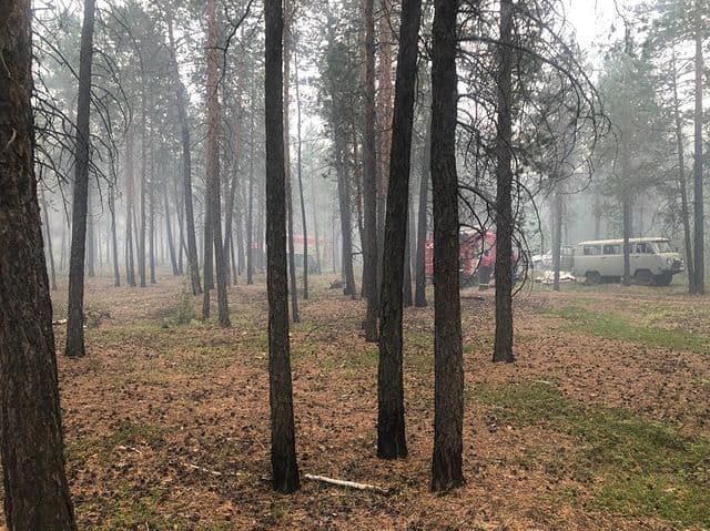 Лесной пожар на Вилюйском тракте Якутска ликвидирован