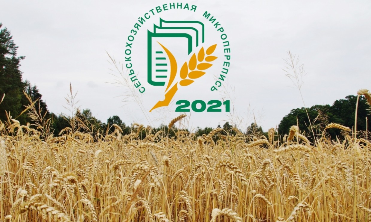 В России впервые пройдет сельскохозяйственная микроперепись