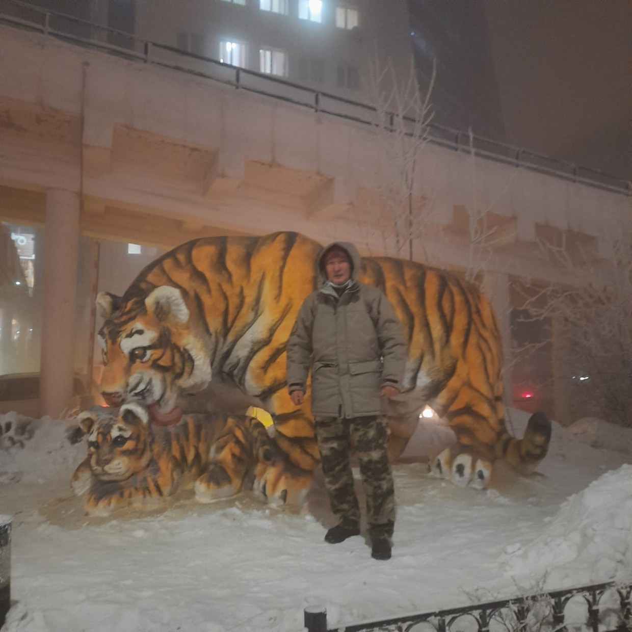 Тигрица с малышом поселилась в центре Якутска