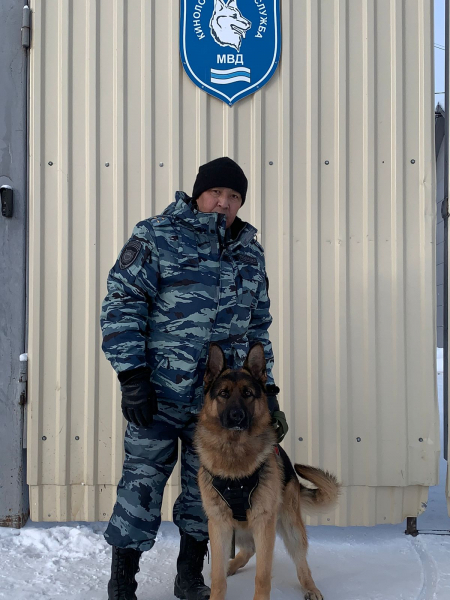 Полицейский-кинолог и розыскная собака Лингард раскрыли убийство «по горячим следам» в Якутске