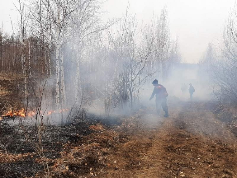За умышленный поджог леса «светит» до 10 лет лишения свободы