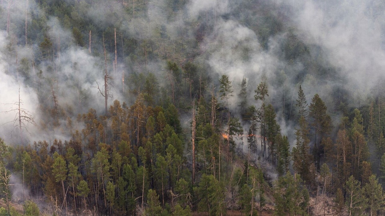 В Якутии действует один лесной пожар