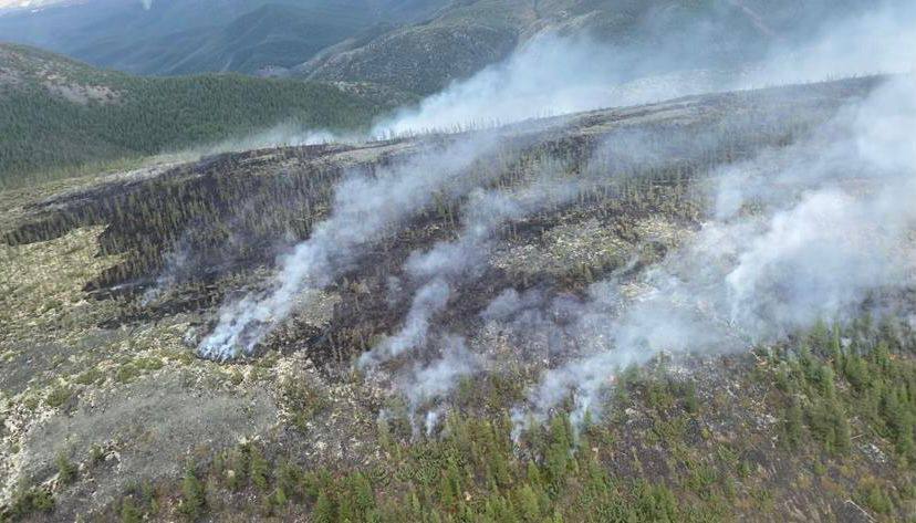 Пять лесных пожаров действует в Якутии