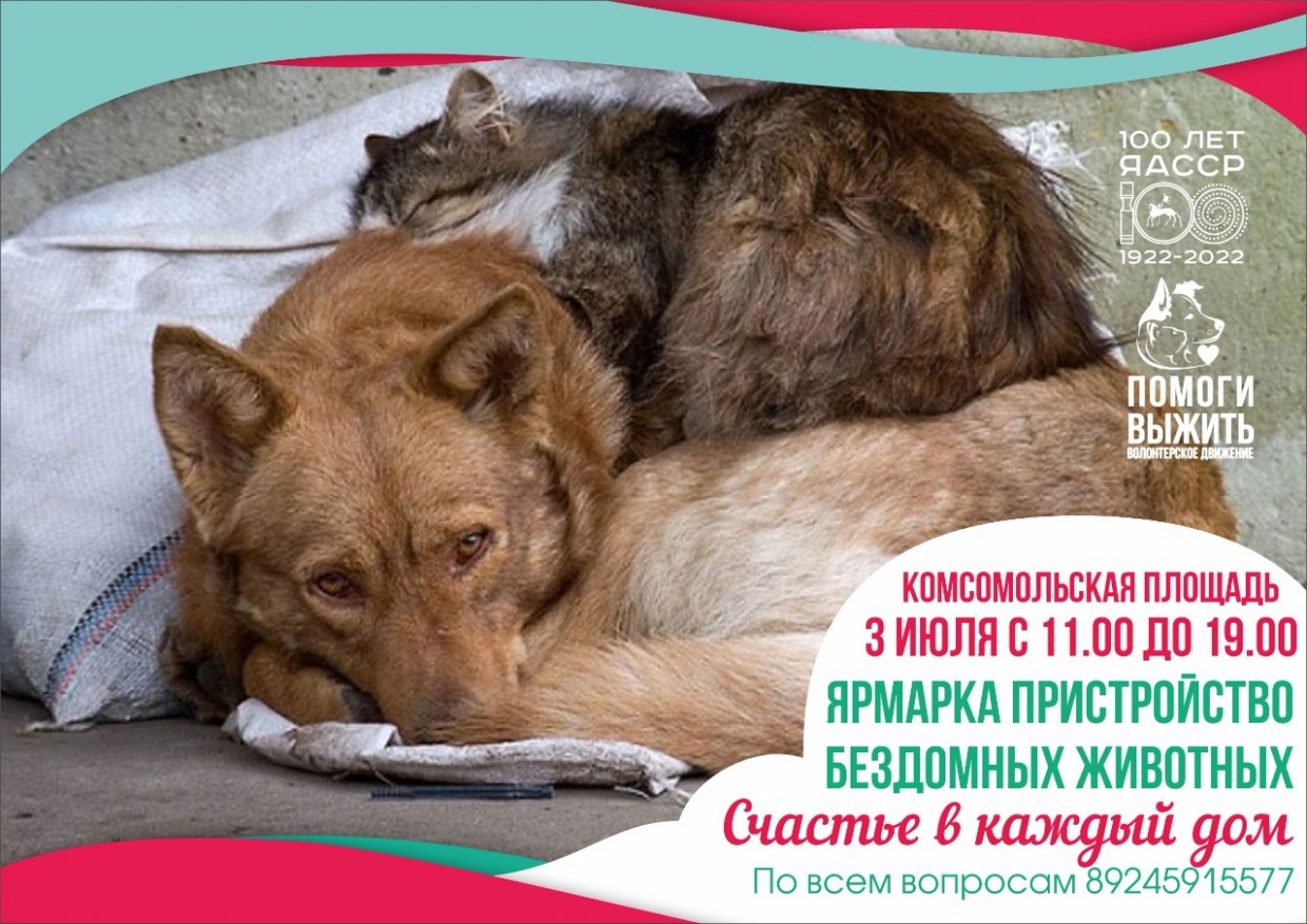 В Якутске пройдет ярмарка по пристройству бездомных животных