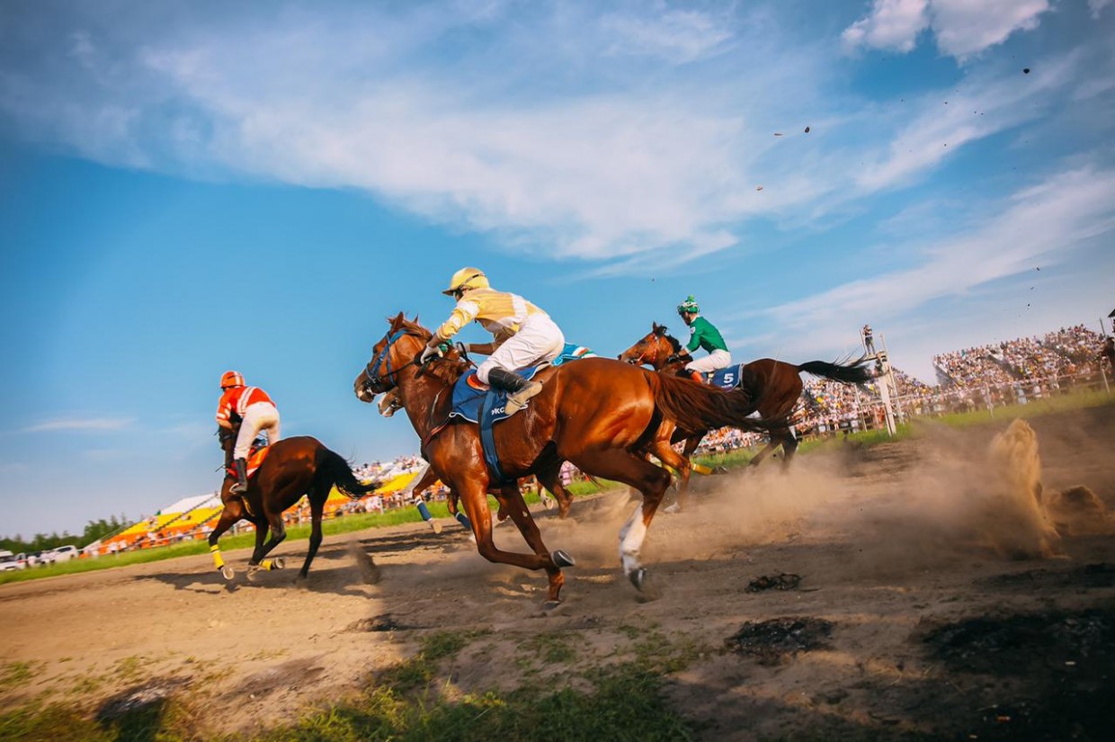 В Якутске пройдут конные скачки на приз Председателя Правительства Якутии