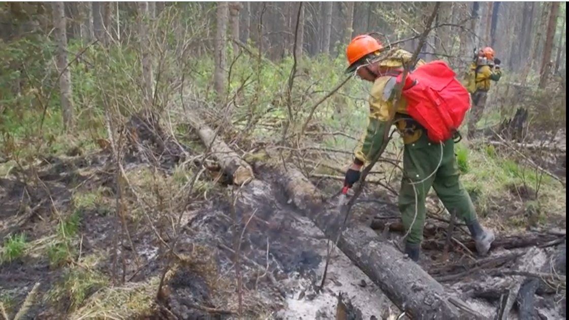 Федеральная «Авиалесоохрана» активно помогает в тушении пожаров в Якутии