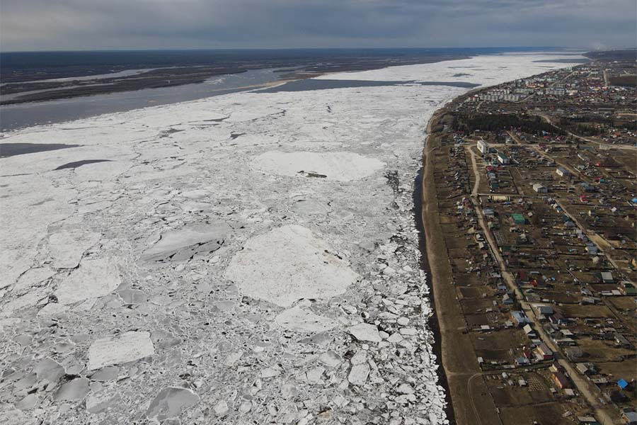Выпускник СВФУ разработал приложение по мониторингу толщины льда на реке Лена