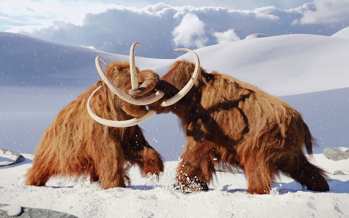 Сбор мамонтовой кости в арктических районах Якутии увеличился на 61%