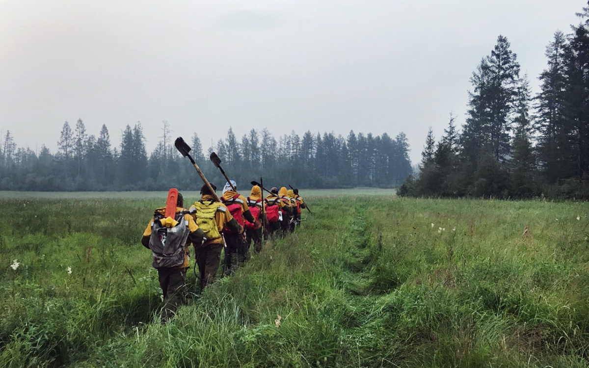 Оперативная информация о лесных пожарах на 20 июля