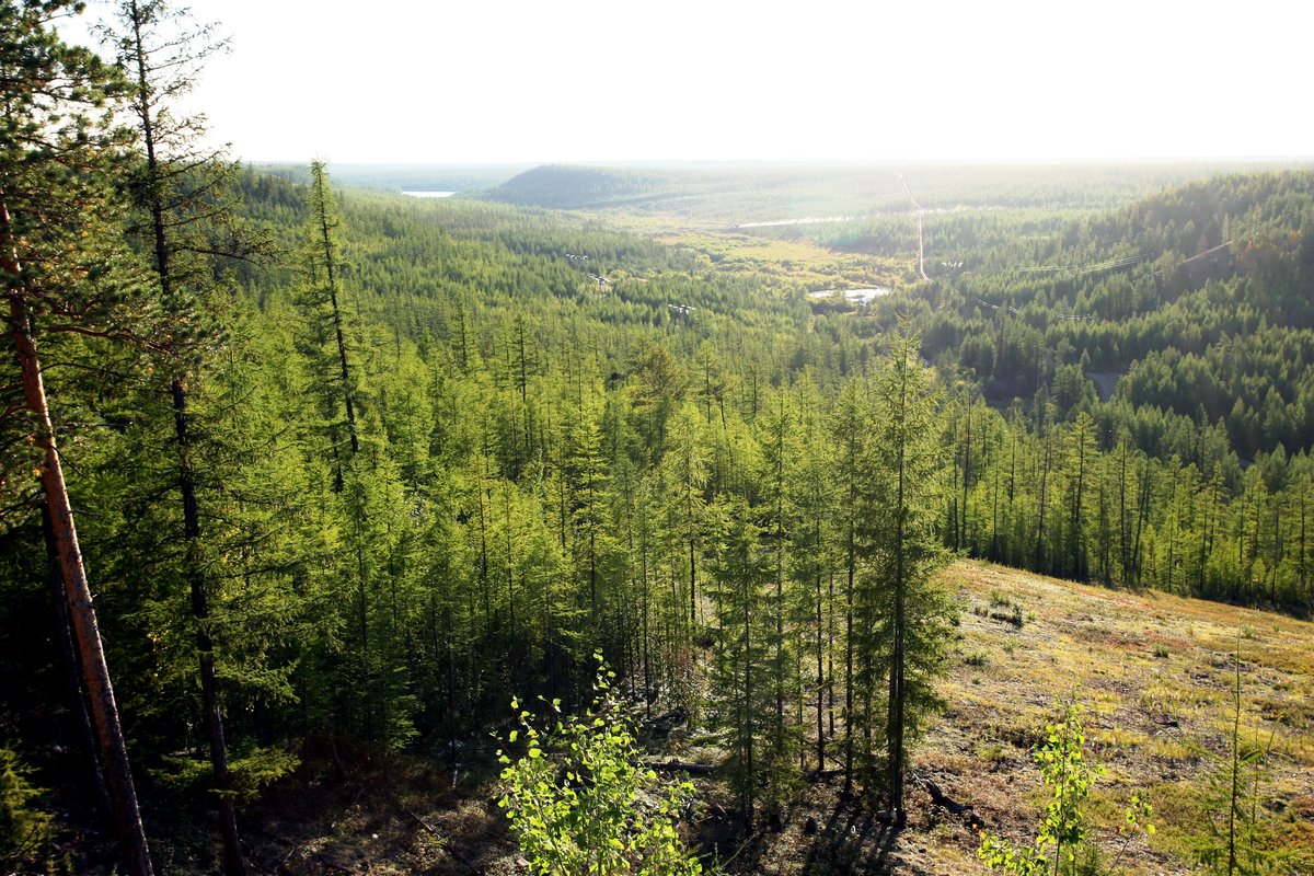 В Якутии действуют 7 лесных пожаров