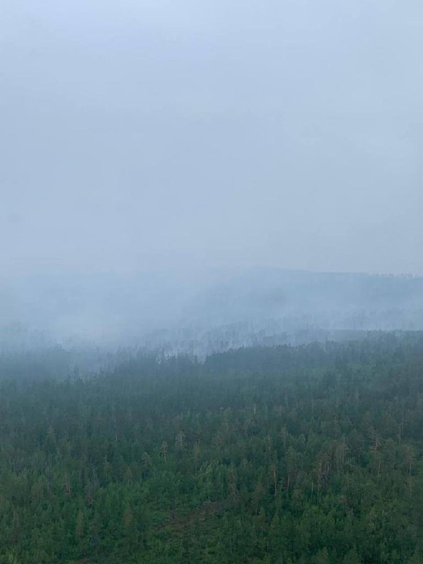 В Якутии действуют 25 лесных пожаров