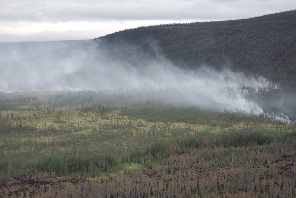 В Якутии действует 39 лесных пожаров