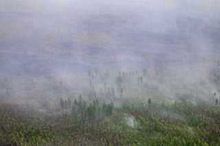 В Якутии действуют 10 лесных пожаров
