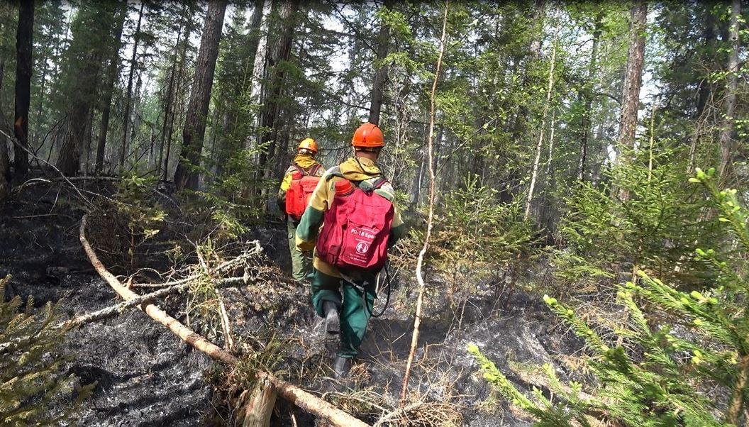 В Якутии действуют 46 лесных пожаров