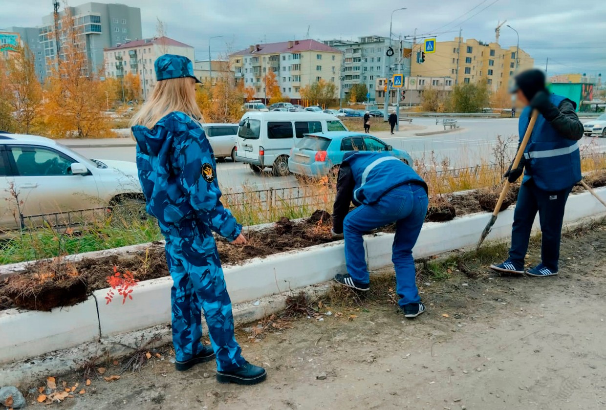 80 саженцев шиповника высадили осужденные в Якутске