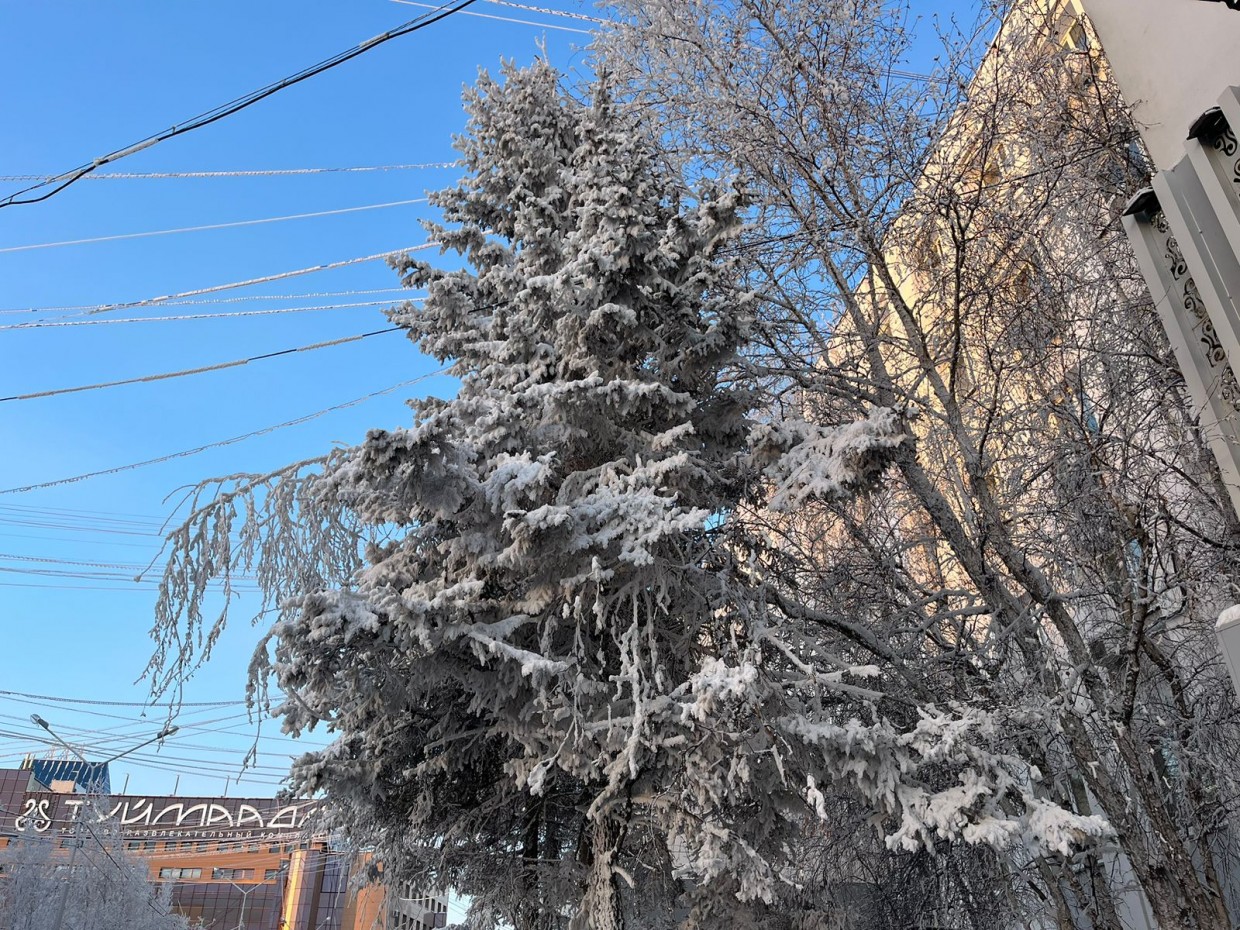 Прогноз погоды на 27 декабря в Якутске
