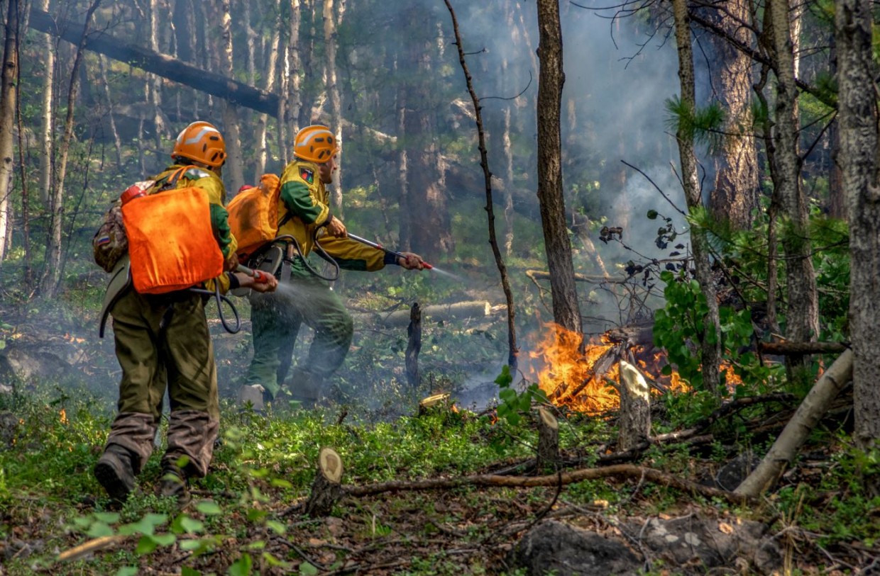 В России создадут федеральный резерв для тушения сложных лесных пожаров