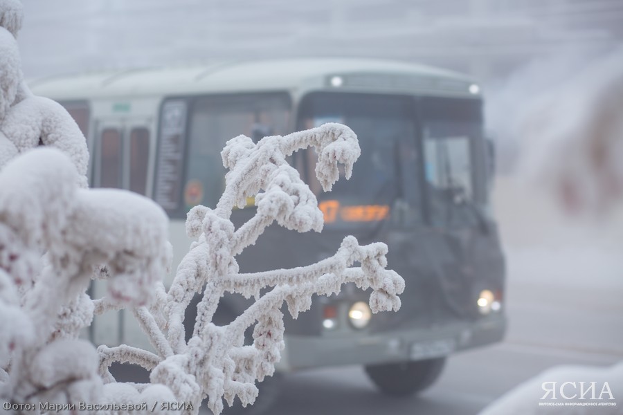 В Якутске проводится опрос горожан по работе общественного транспорта