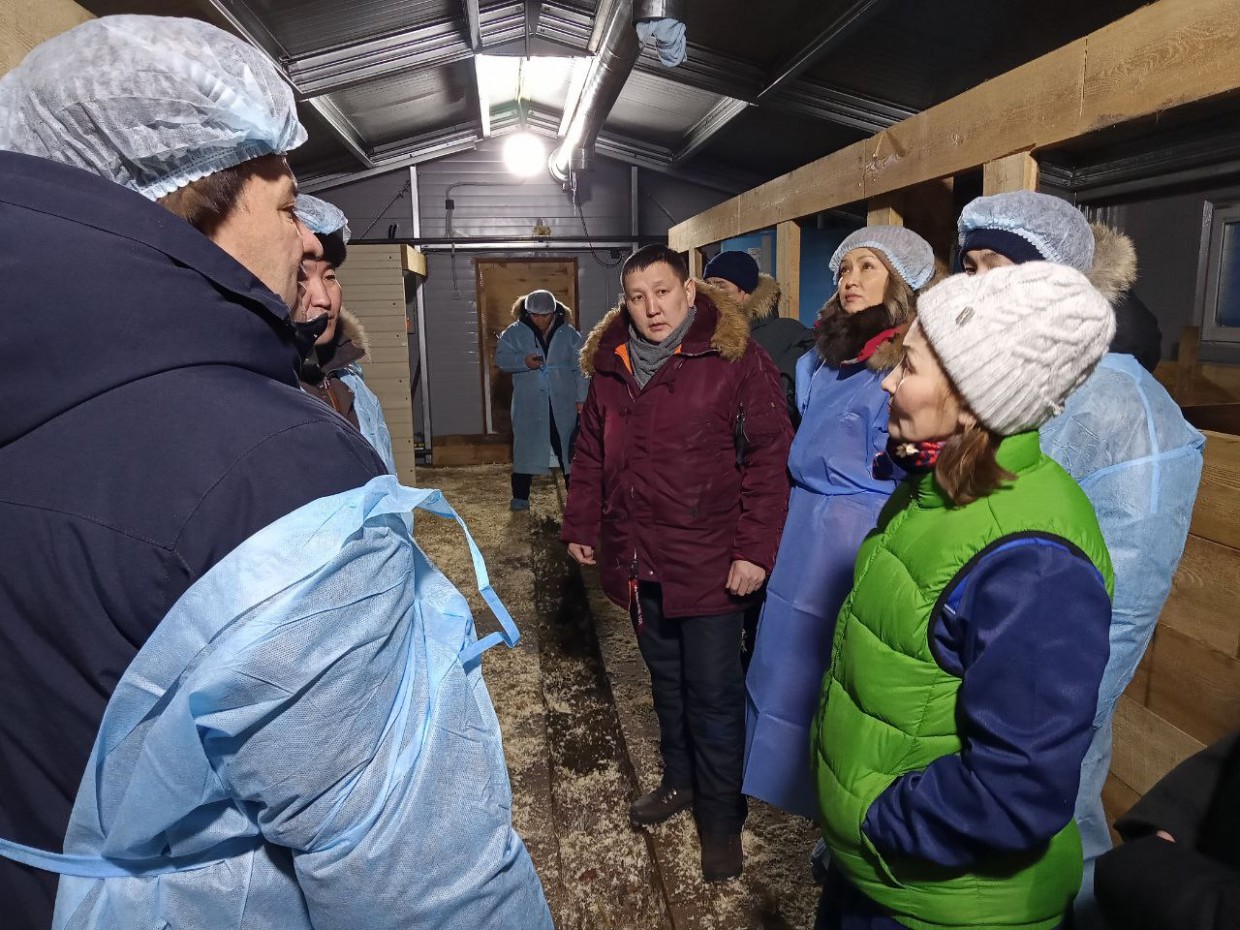 Андрей Тарасенко посетил свиноводческое хозяйство в пригороде Якутска