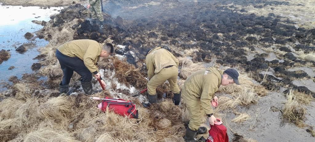 На территории Якутии нет действующих природных пожаров