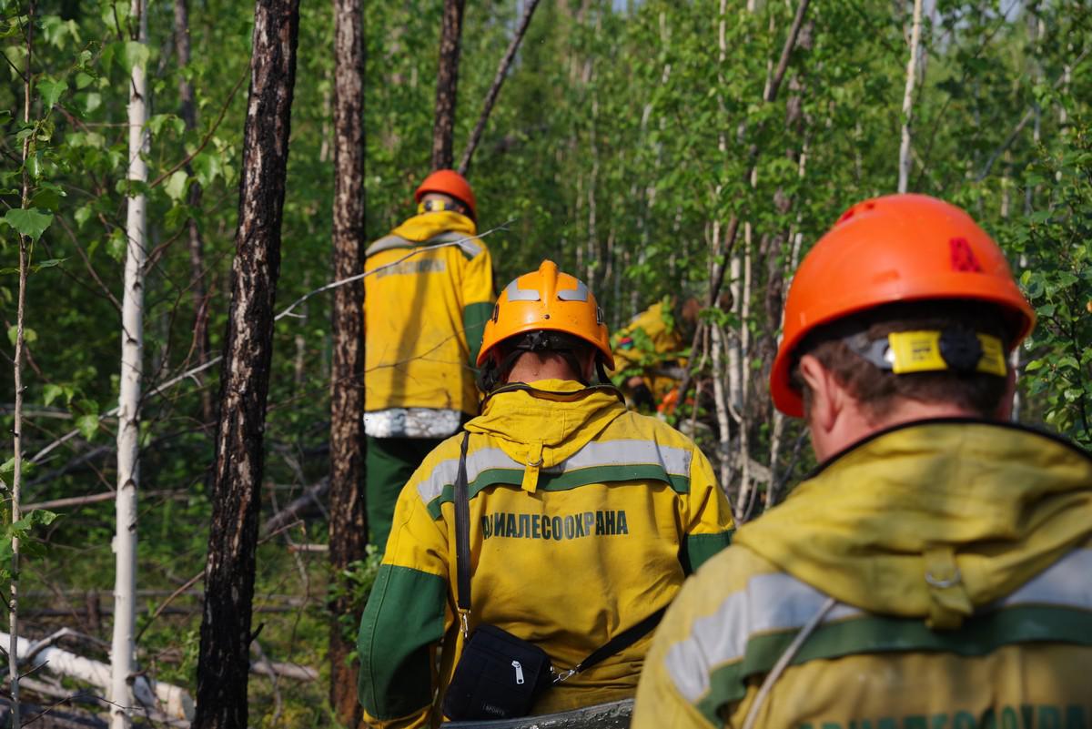В Якутии за сутки потушили один лесной пожар