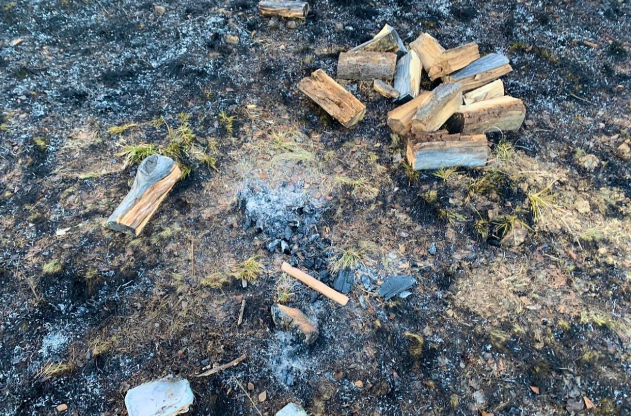 В Якутии действует 23 ландшафтных пожара