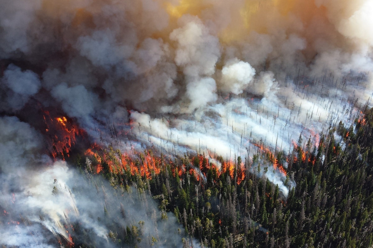 10 лесных пожаров тушат в Якутии
