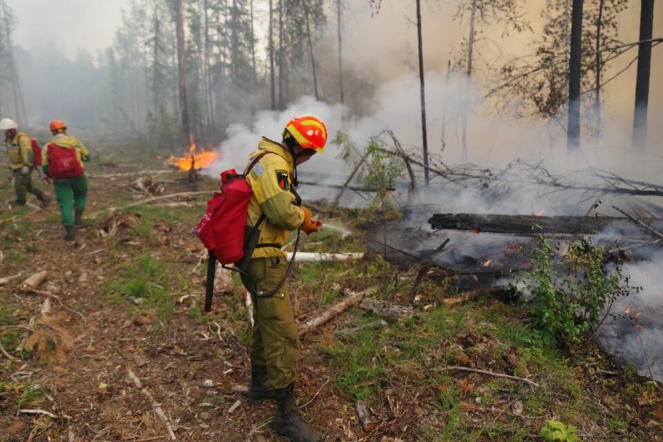 В Якутии действуют 163 лесных пожара. Более 100 огнеборцев приедут на помощь из Магадана