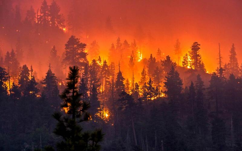 В Якутии действуют 50 лесных пожаров на площади 606 тысяч гектар