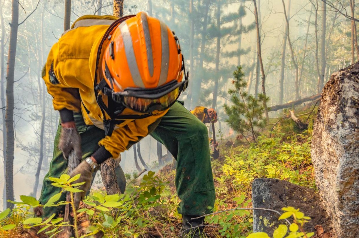 Огнеборцы за сутки потушили 19 лесных пожаров в Якутии