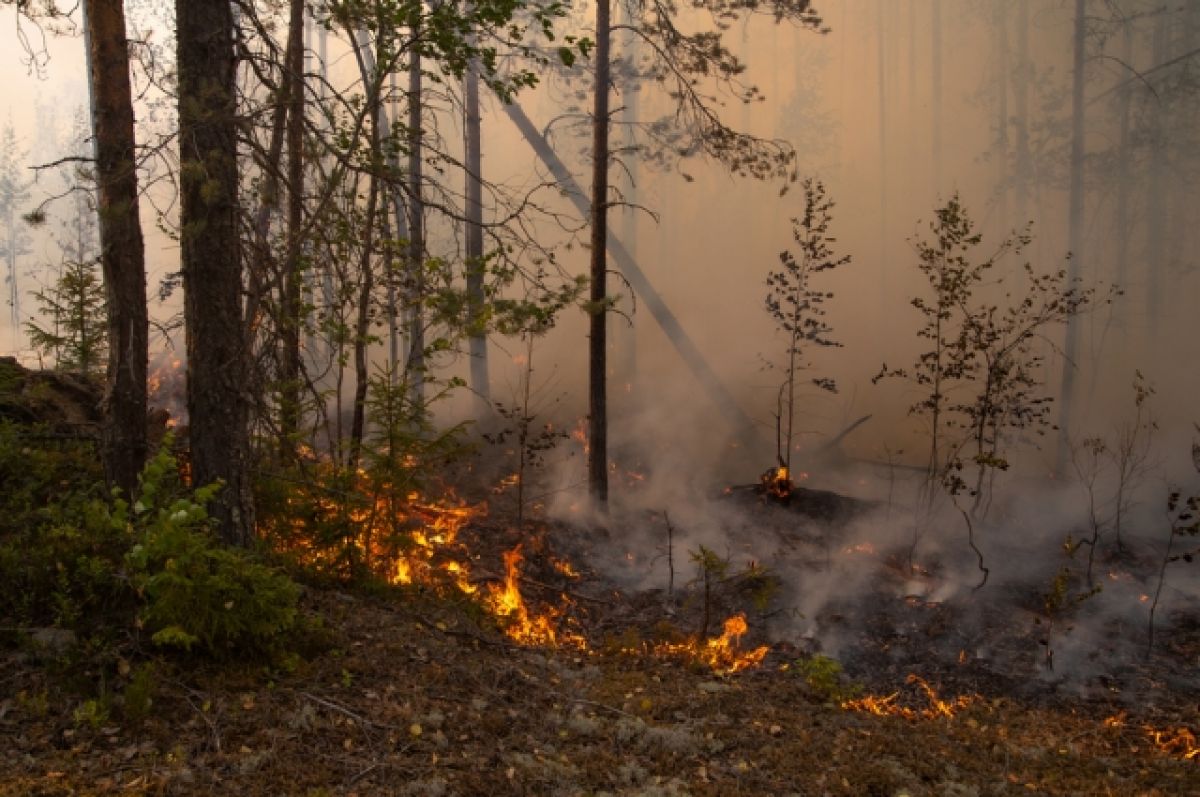 В Якутии действуют 63 лесных пожара, из них тушится 20 лесных и 1 ландшафтный пожар