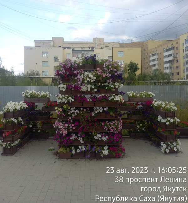 Дополнительные цветочные клумбы на проспекте Ленина перенесут