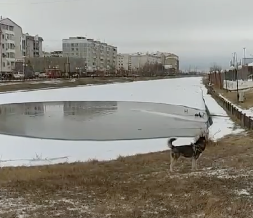 На озере Талое в Якутске запустят очистные сооружения