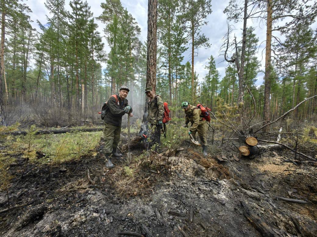 В Якутии действуют 53 лесных пожара