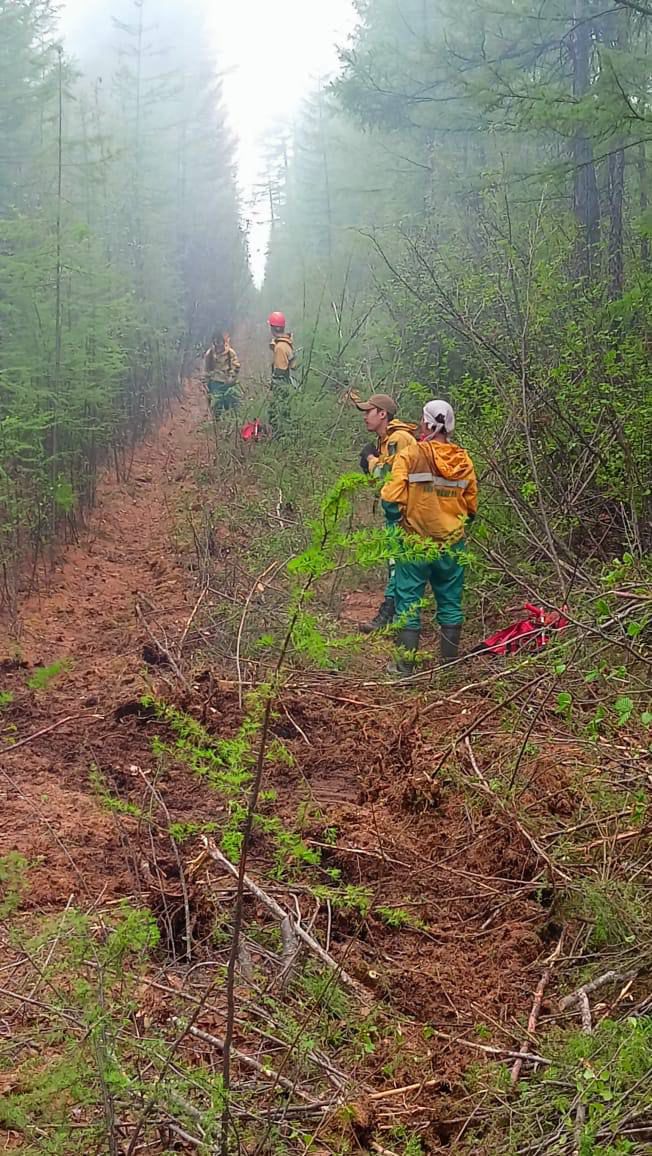 За сутки ликвидировано 6 природных пожаров в Якутии