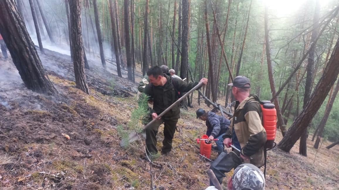 В Якутии действуют 92 лесных пожара